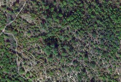 Terrain - 58 900 m²