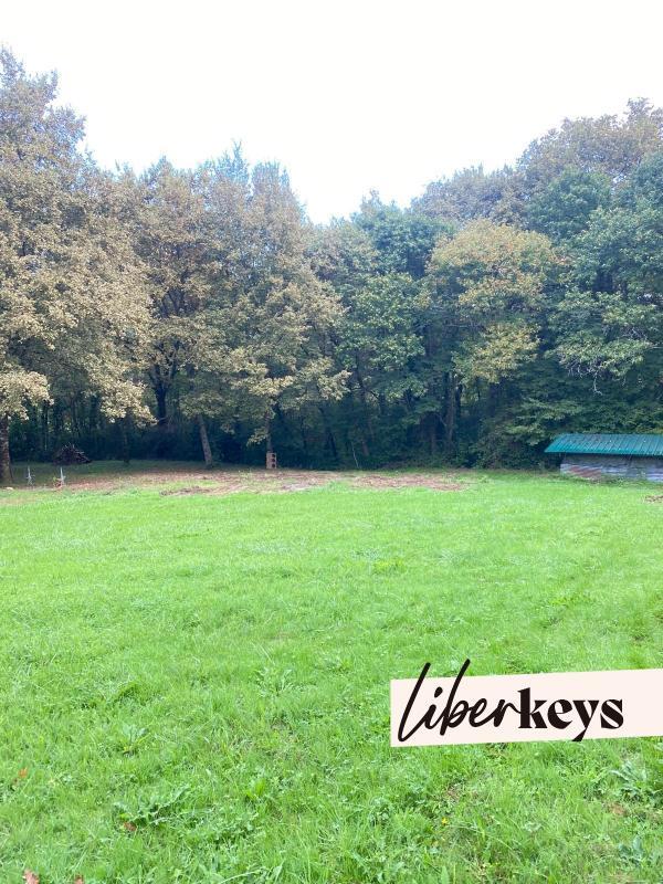 Terrain - 12 800 m²