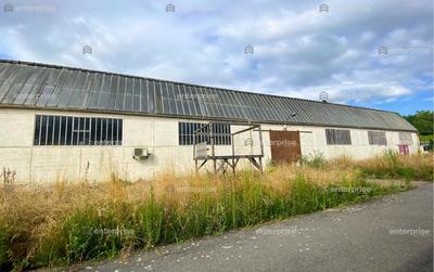 Local d'activité / Entrepôt - 1 650 m²