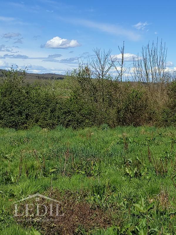 Terrain constructible - 1 427 m²