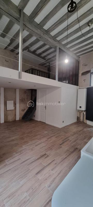 Loft - 46 m² - 3 pièces