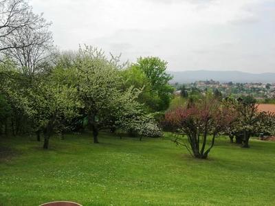 Terrain - 1 231 m²