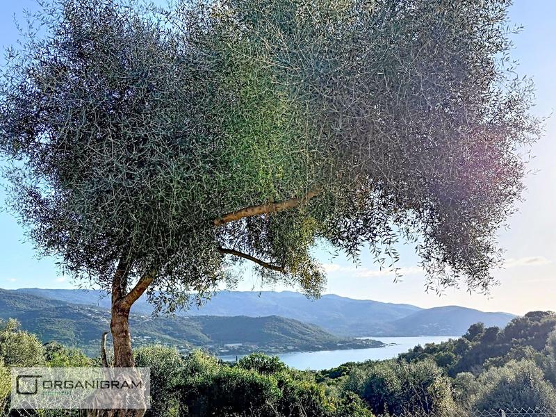 Villa - 79 m² - 4 pièces