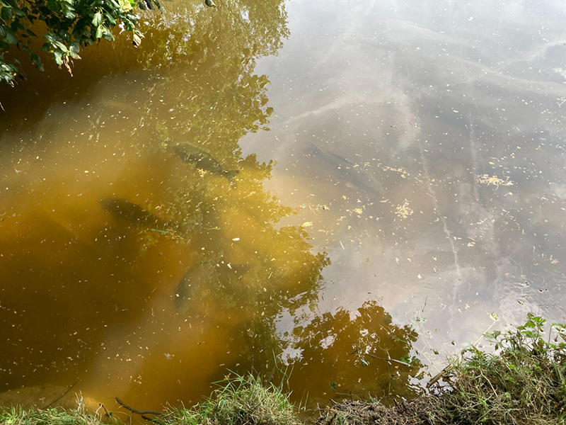 Terrain de loisirs - 27 500 m²