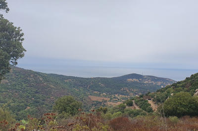 Terrain - 6 500 m²
