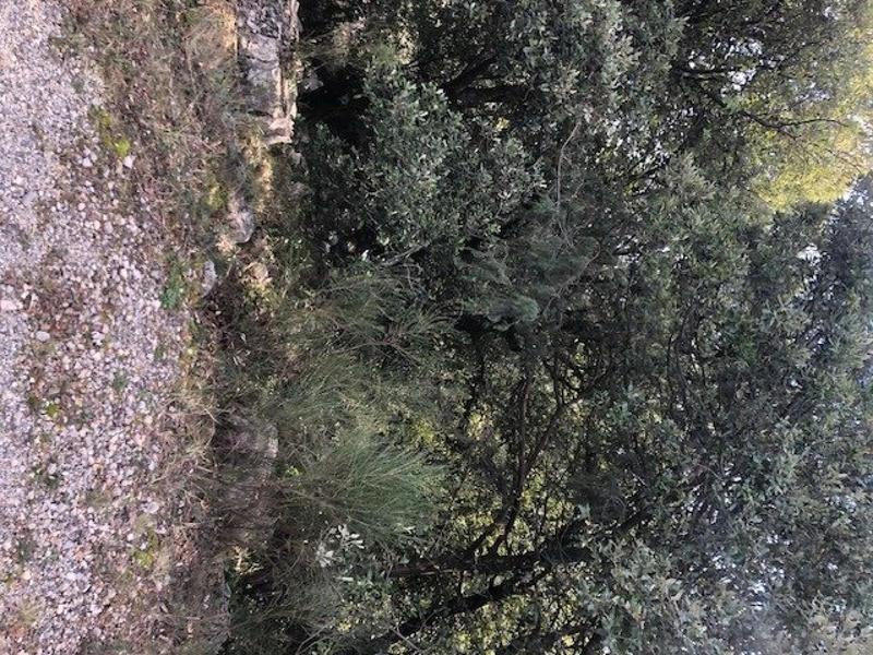 Terrain - 10 420 m²