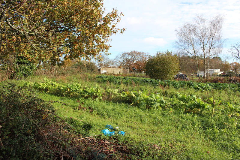 Maison - 75 m² - 3 pièces