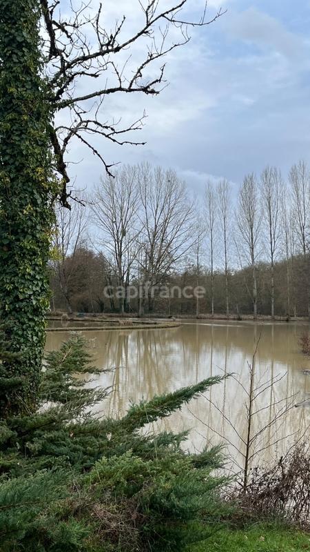 Maison - 494 m² - 13 pièces