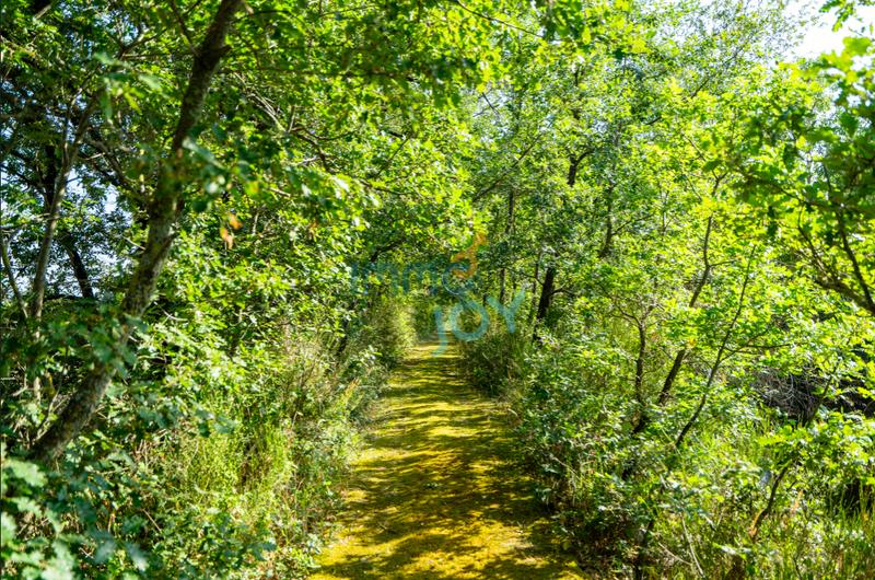 Propriété - 282 m² - 11 pièces