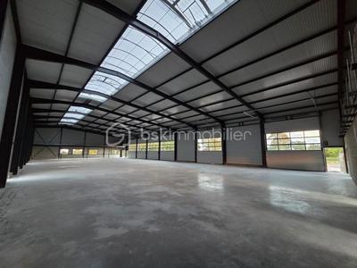 Entrepôt - 500 m² - 5 pièces