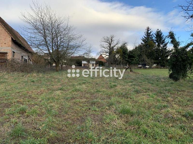 Terrain - 2 000 m²