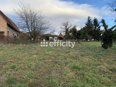 Terrain - 2 000 m²