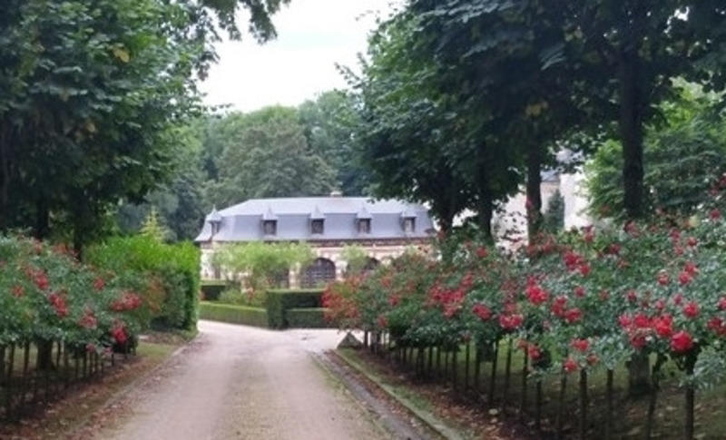 Château - 1 200 m² - 20 pièces