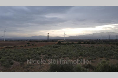 Terrain agricole - 16 505 m²