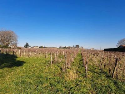 Propriété viticole - 73 m²