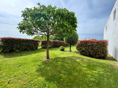 Appartement - 34 m² - 1 pièce