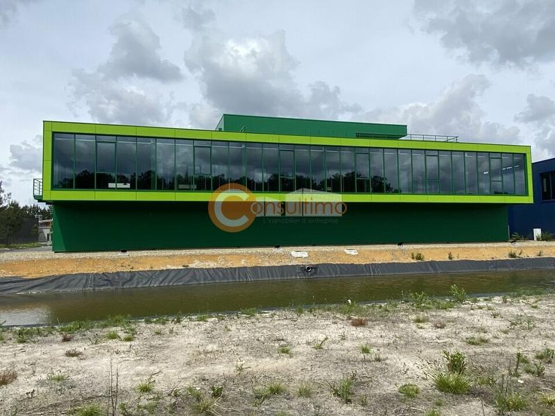 Local d'activité / Entrepôt - 782 m²