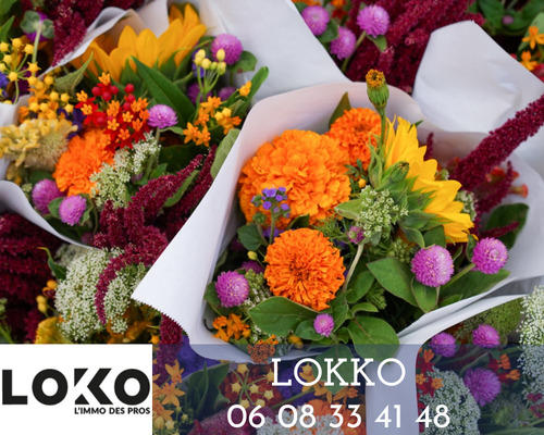 Fonds de commerce - Magasins - 200 m²