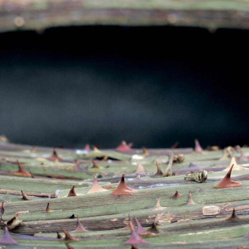 Exposition Lucioles Paysannes de Guillaume de la Follye de Joux