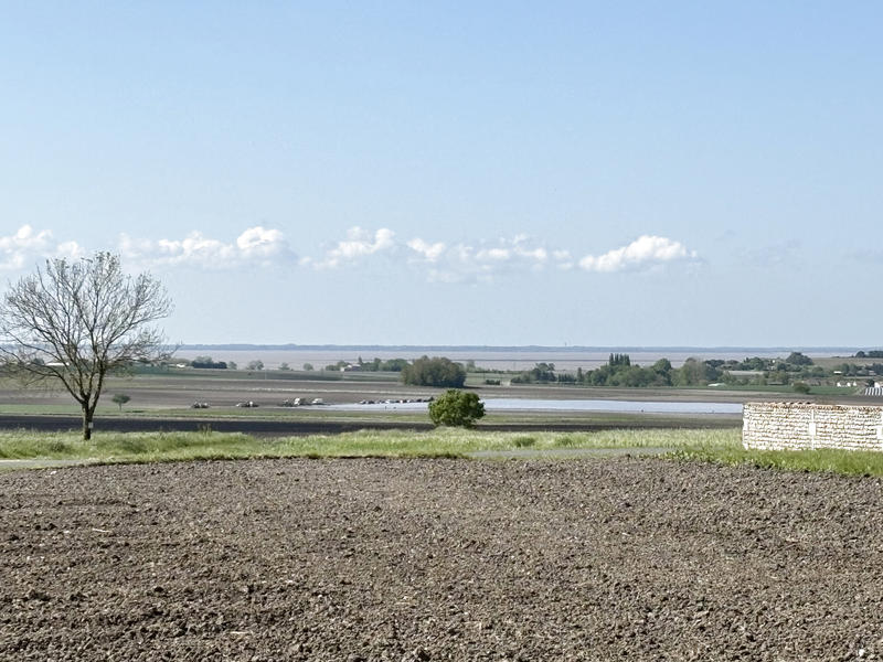 Maison - 220 m² - 7 pièces