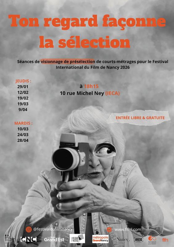 Visionnage - Présélection de Courts-Métrages - Festival International du Film de Nancy 2026