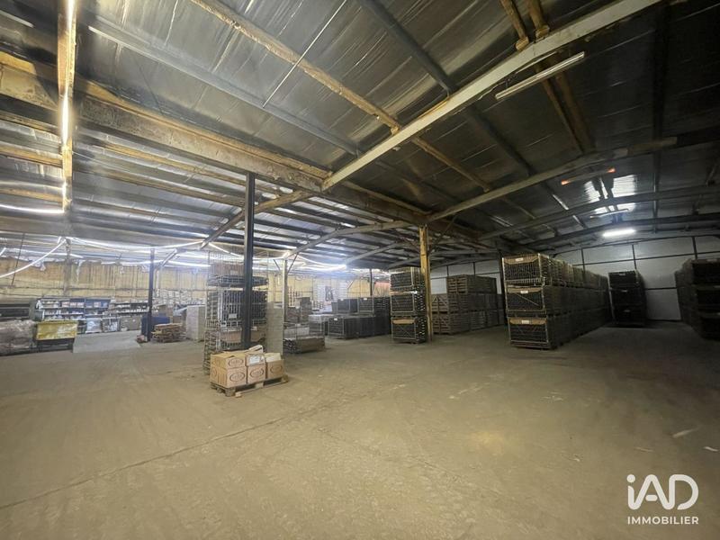 Local commercial - 3 800 m²