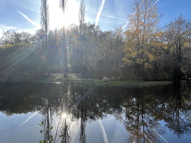 Maison - 116 m² - 4 pièces