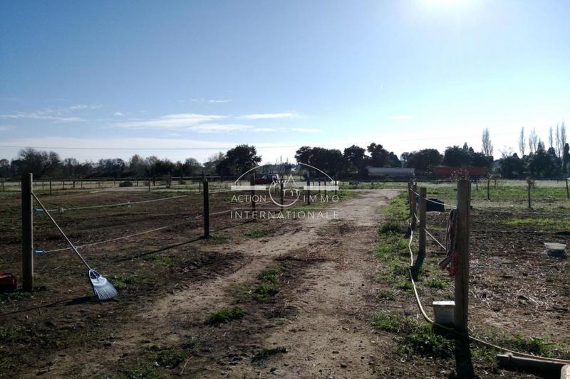 Maison de domaine équestre - 400 m² - 14 pièces