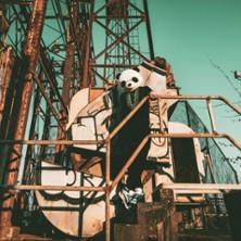 Amaury Faye Nola Quartet - Rust