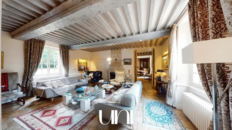 Château - 400 m² - 5 pièces