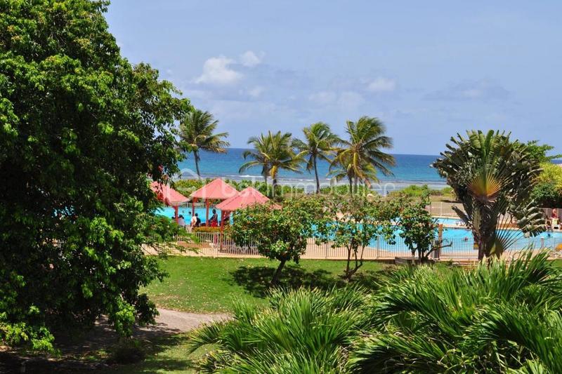 Appartement - 24 m² - 1 pièce