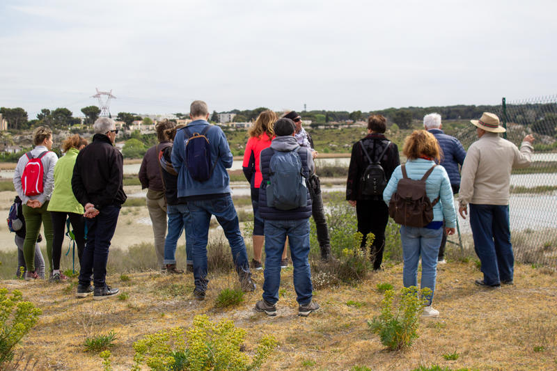 Éco-balade : Découverte des salins de Rassuen
