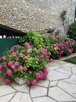 Demeure - 228 m² - 9 pièces