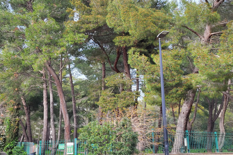 Appartement - 91 m² - 4 pièces