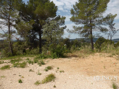 Terrain - 774 m²
