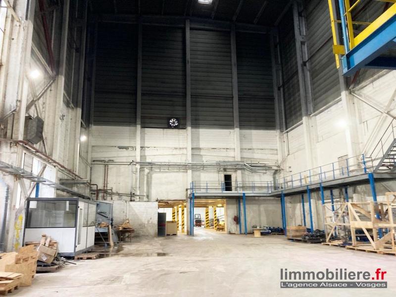 Entrepôt - 7 176 m²