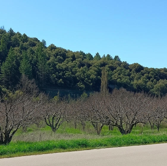 Maison - 151 m² - 4 pièces