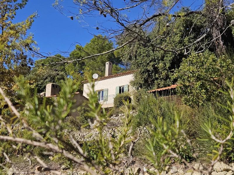 Maison - 261 m² - 7 pièces