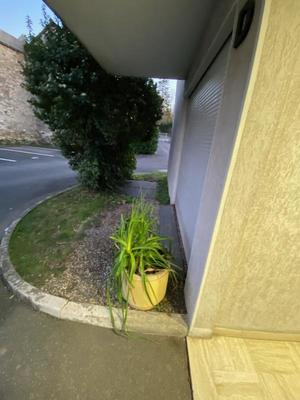 Appartement - 76 m² - 4 pièces