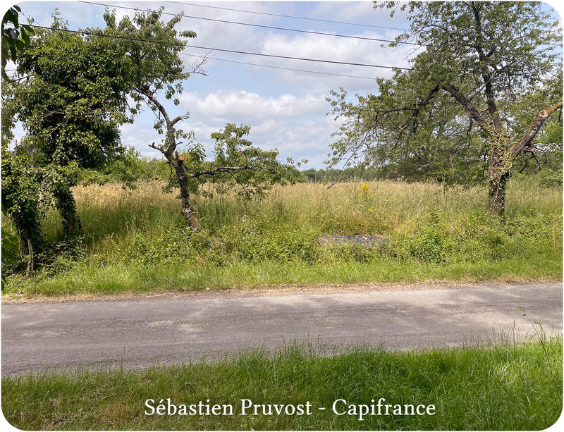 Terrain constructible - 2 600 m²