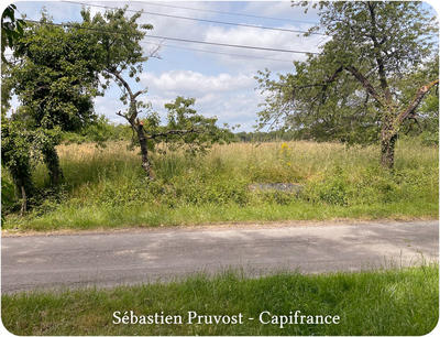 Terrain constructible - 2 600 m²