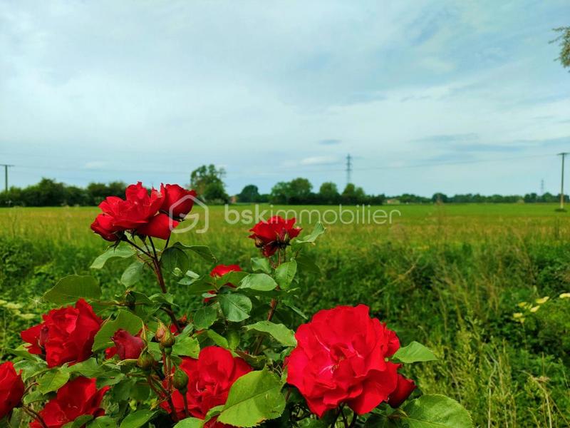 Maison - 70 m² - 3 pièces