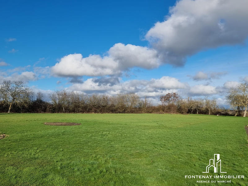 Maison ancienne - 157 m² - 6 pièces