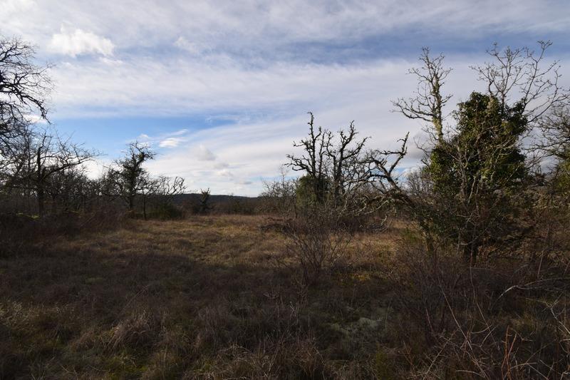 Terrain constructible - 2 750 m²