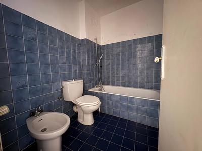 Studio - 24 m² - 1 pièce