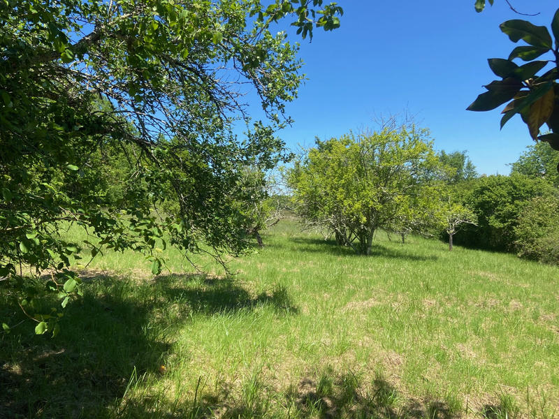 Maison - 129 m² - 5 pièces