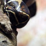 Vivarium du Périgord