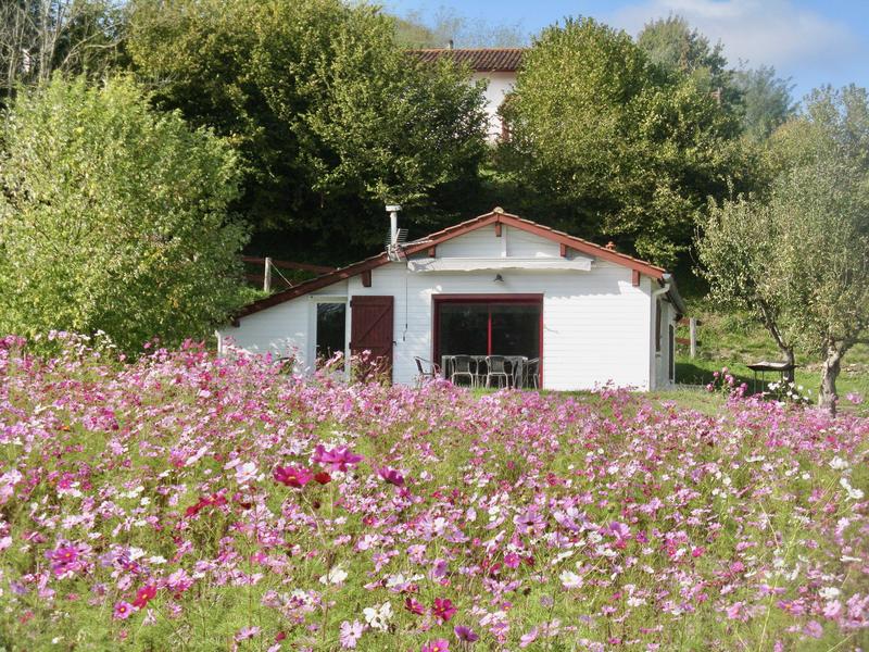 Villa - 377 m² - 11 pièces