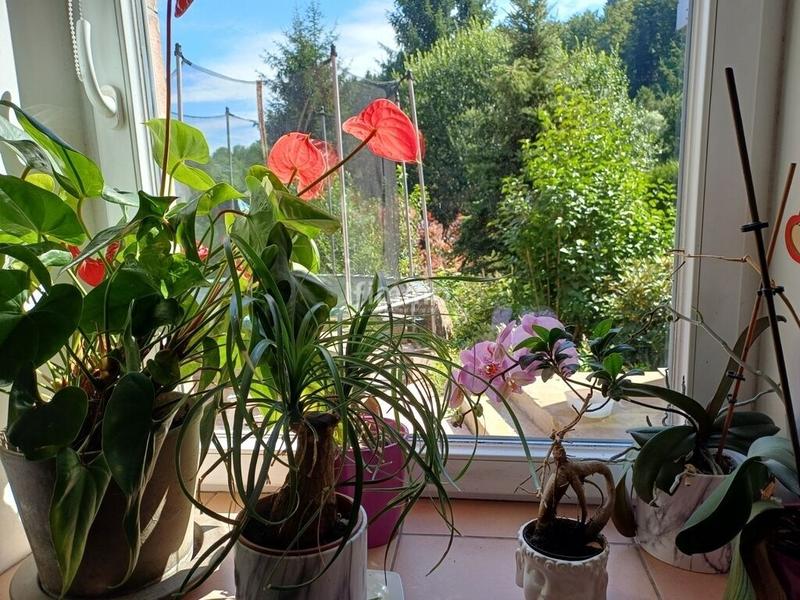 Appartement - 118 m² - 4 pièces