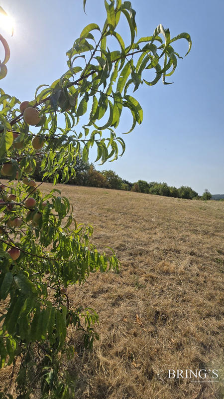 Maison - 115 m² - 7 pièces